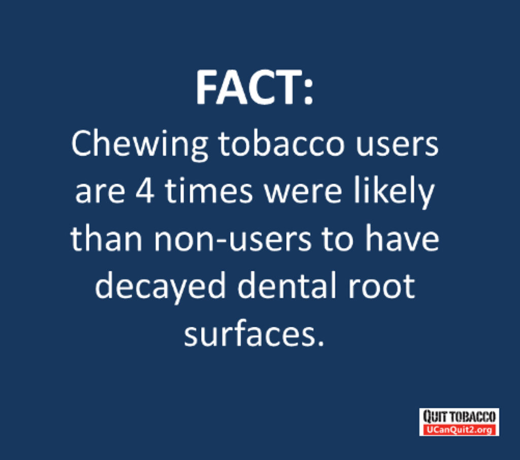 Anti-Chew – img14958