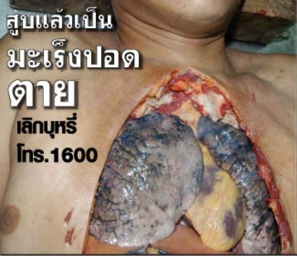 Thailand – img14827