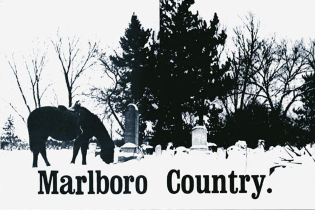 Graveyard – img13284