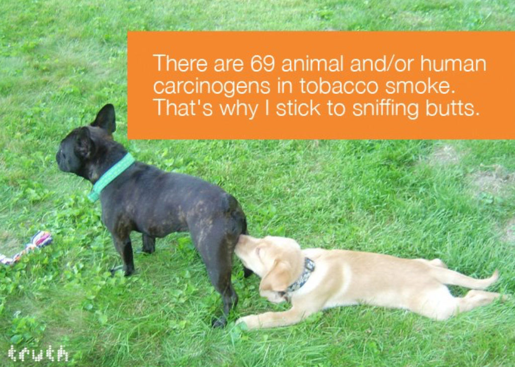 Poisons – img12991