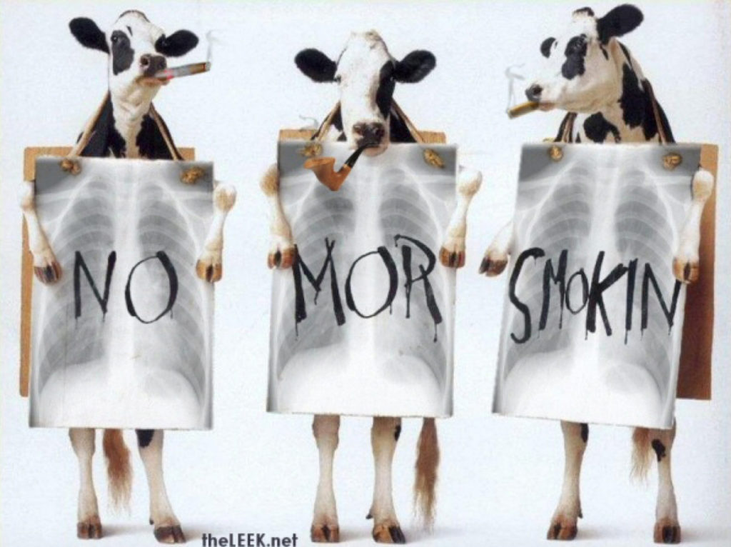 Be a Quitter – img14298