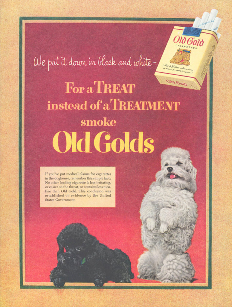 Family Pets – img10849