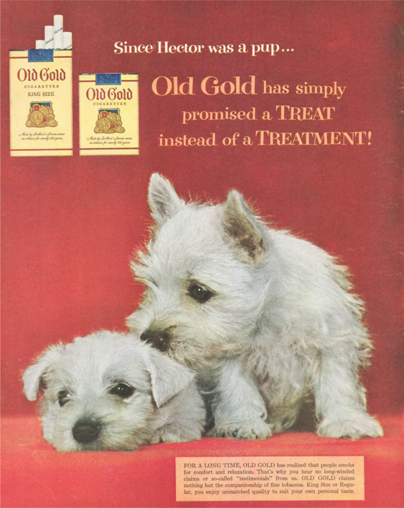 Family Pets – img10850