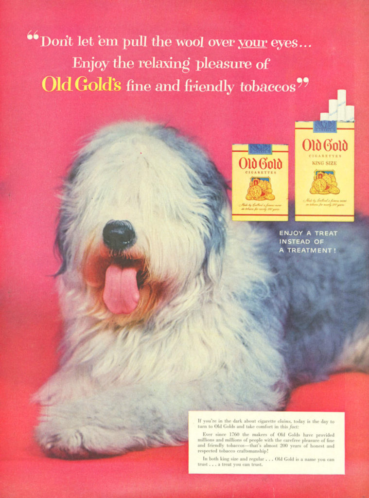 Family Pets – img10851