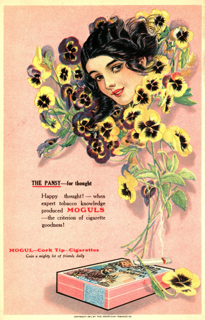 Mogul – img21014