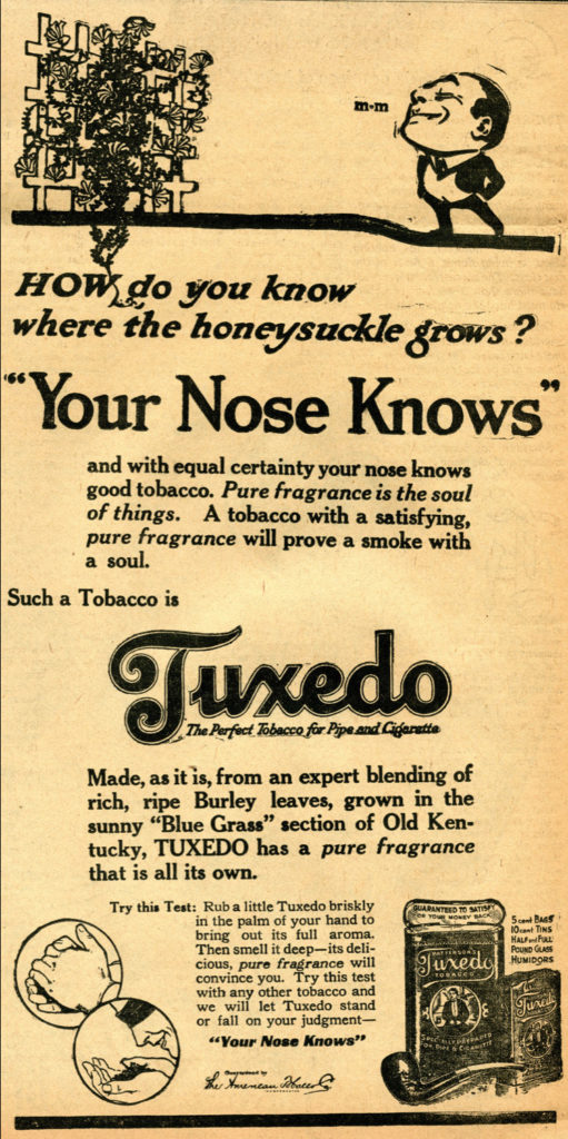 Tuxedo – img21084