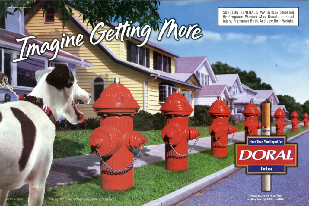 Bizarre Modern – img12878
