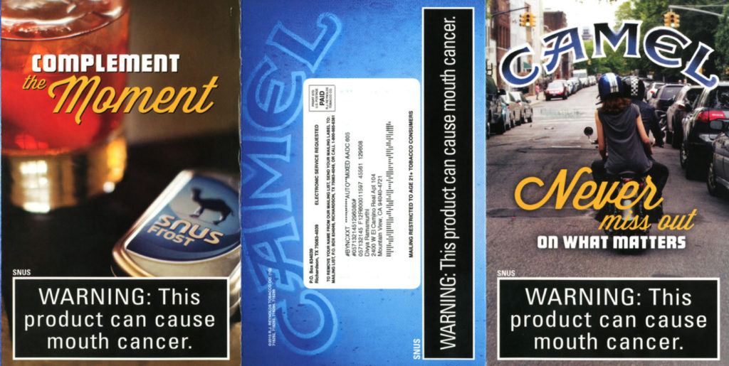 Camel Modern – img22247