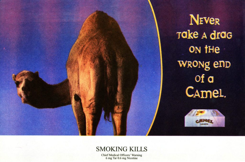Camel Modern – img17358