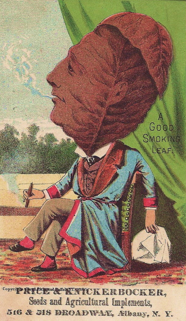 Tobacco People – img21496