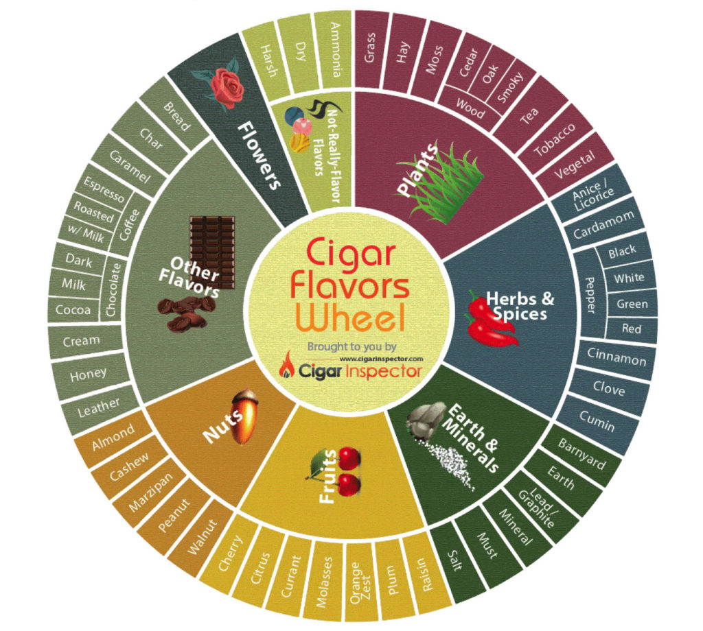 eCigars – img30371