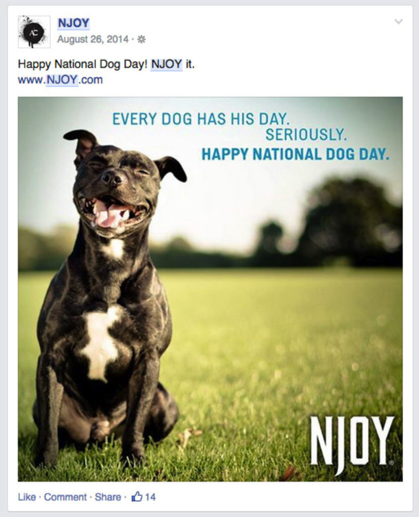 NJOY, NJOY Inc. – img27708