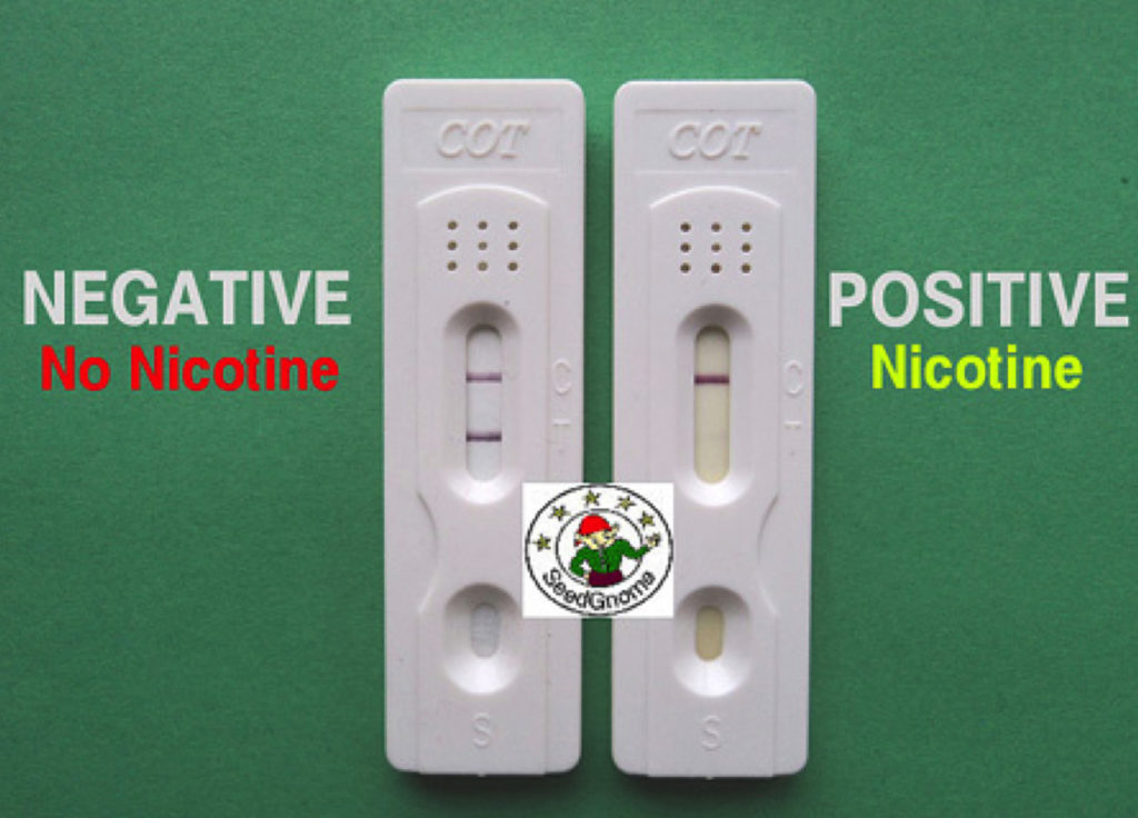 Nicotine – img23671