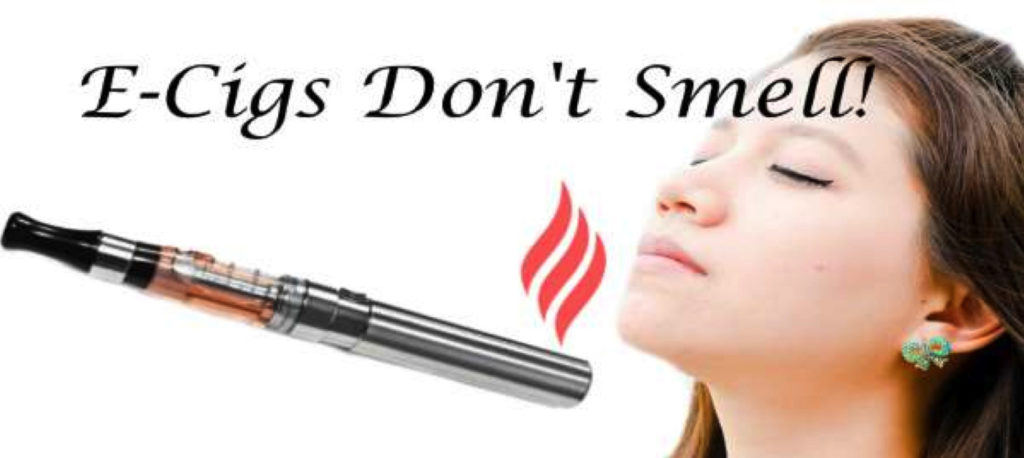 No Stink – img28781