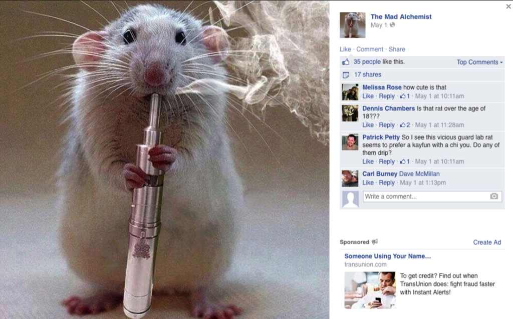 Pets Vaping – img24766