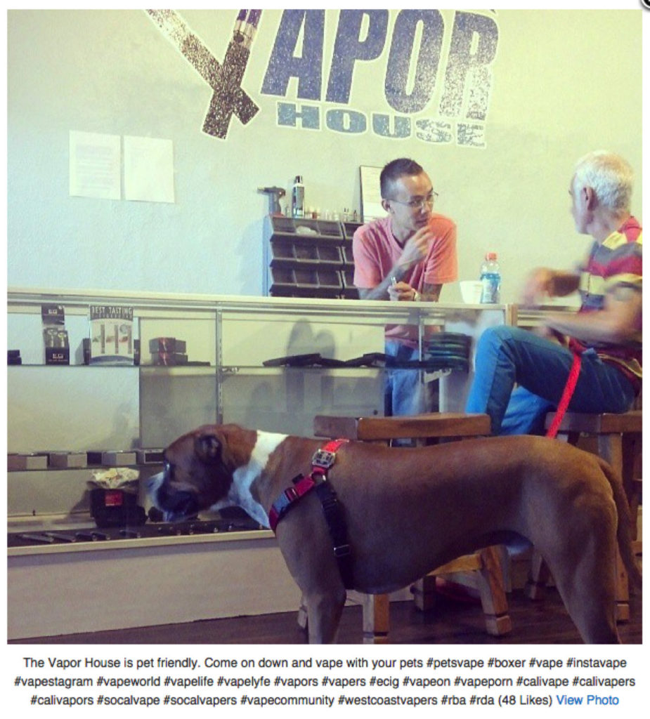 Pets Vaping – img25624
