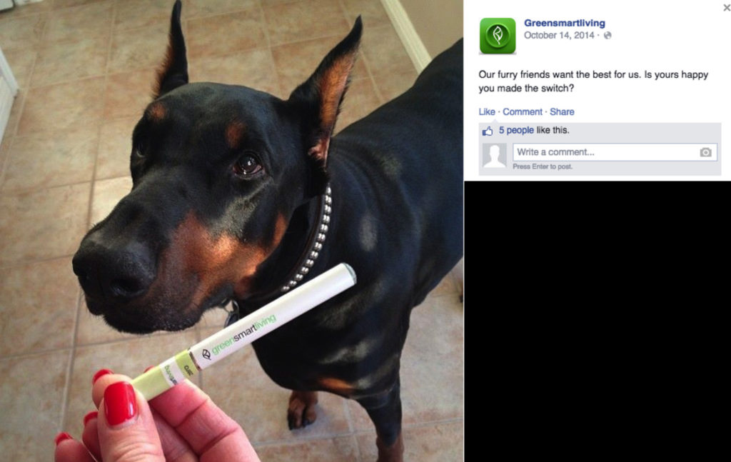 Pets Vaping – img25625