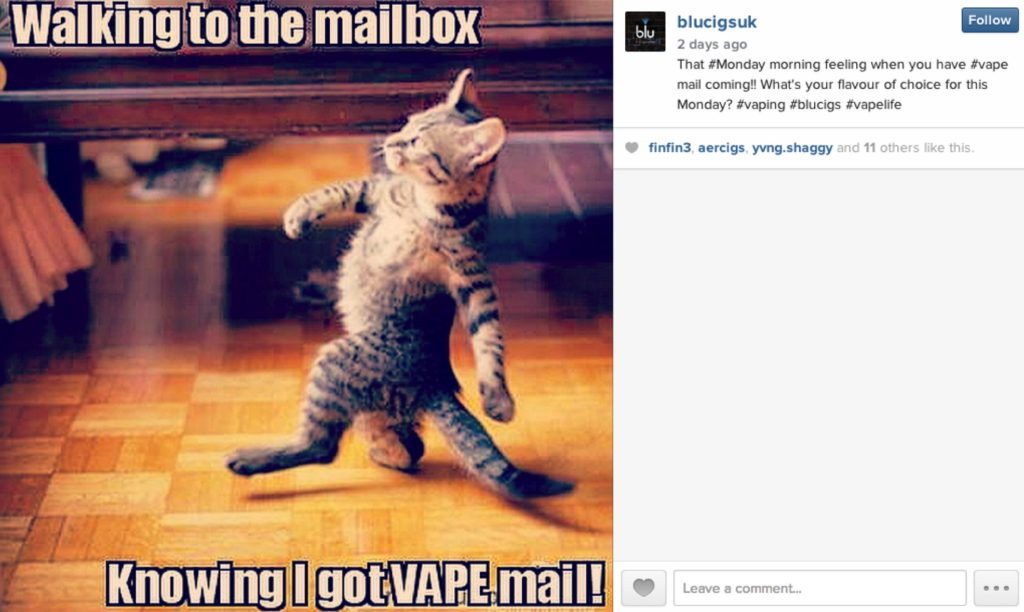 Pets Vaping – img25607