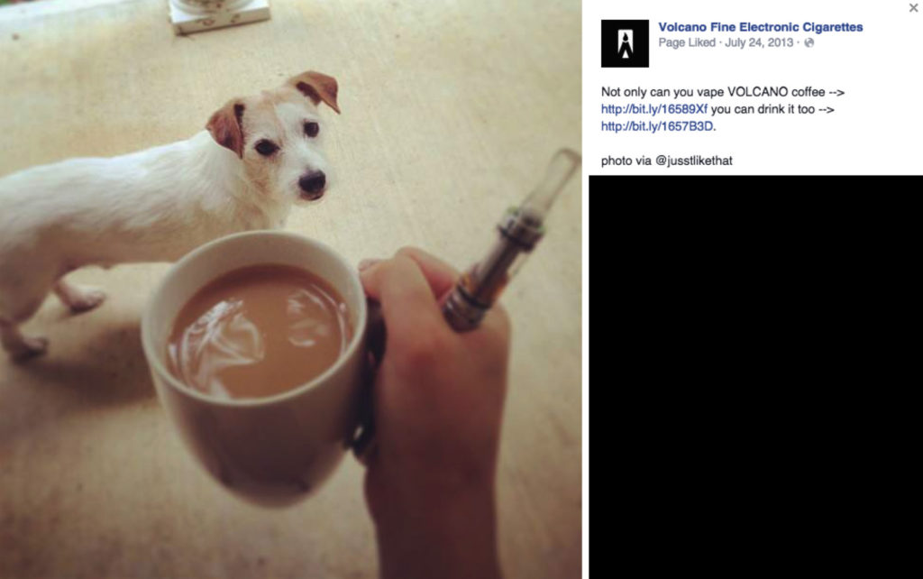 Pets Vaping – img25648