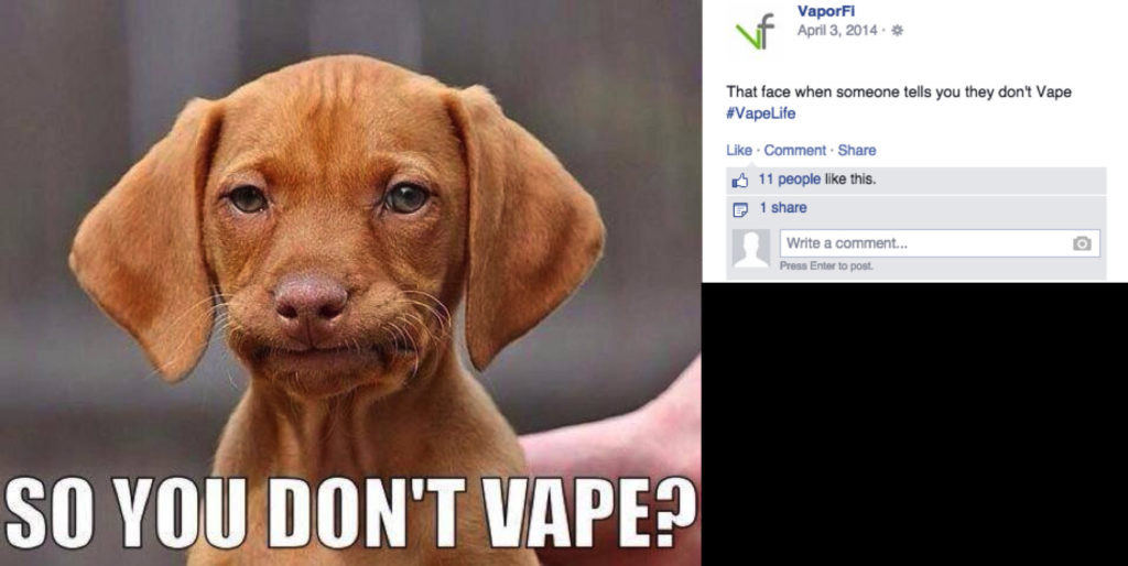 Pets Vaping – img25649