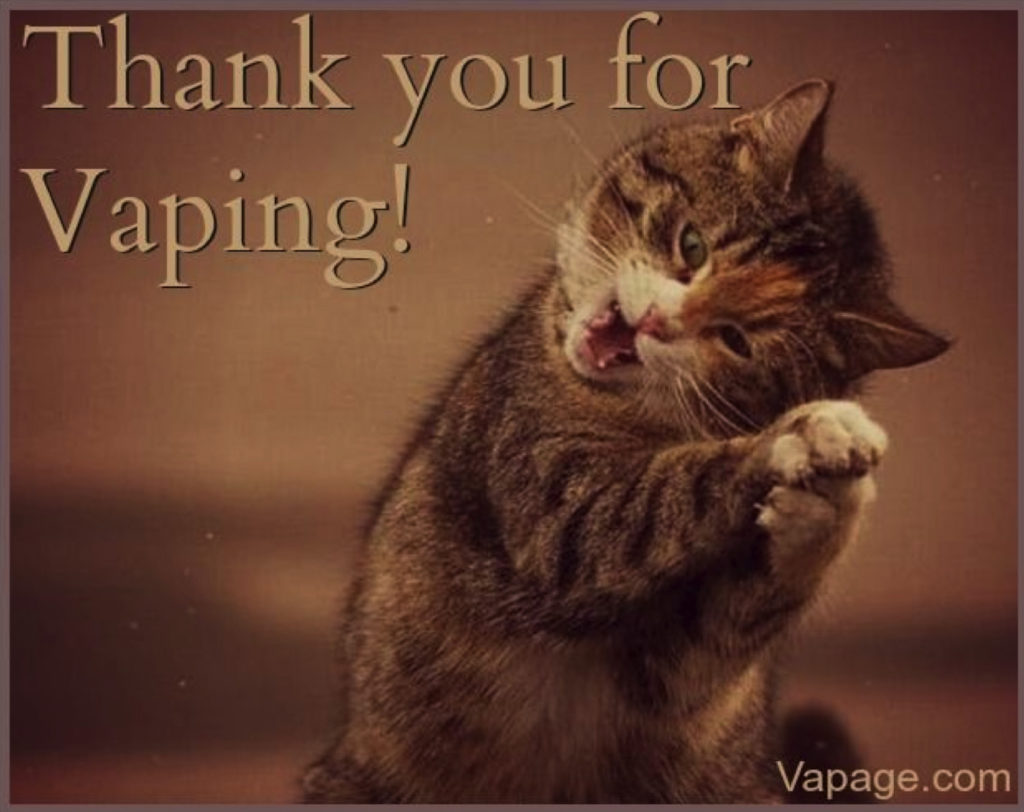 Pets Vaping – img25807