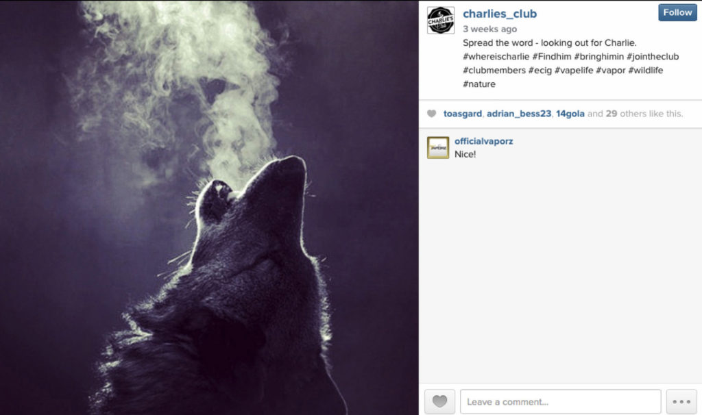 Pets Vaping – img25620