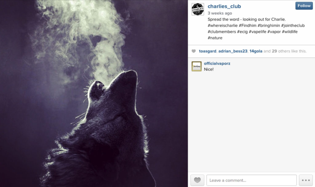 Pets Vaping – img25612