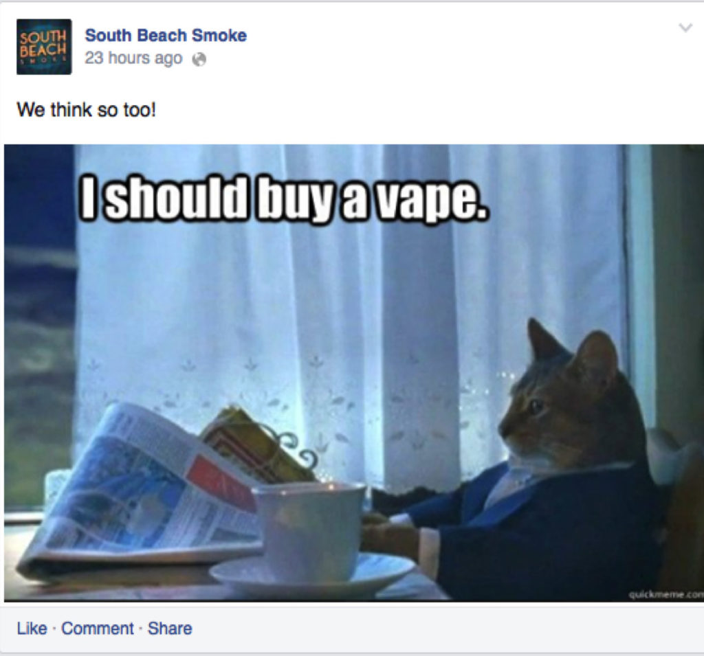 Pets Vaping – img25613