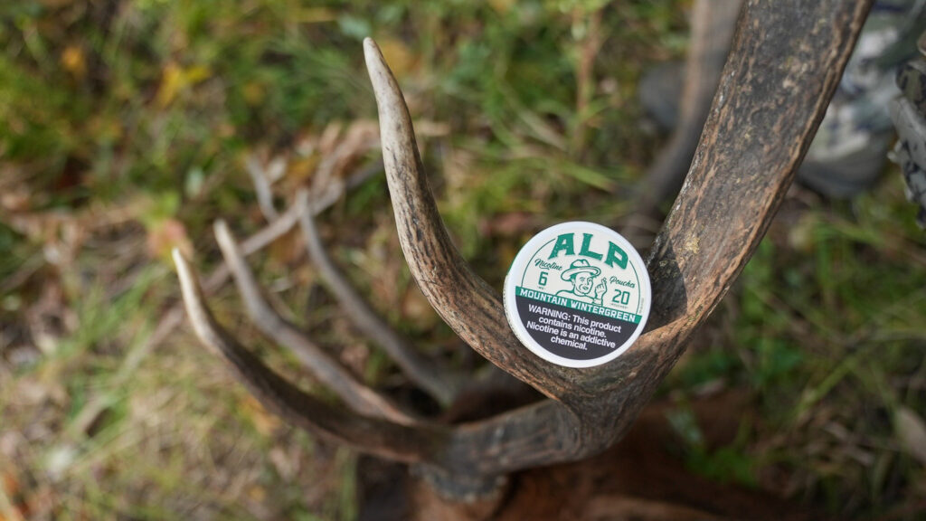 Independent/Alp – Alp-197.jpg