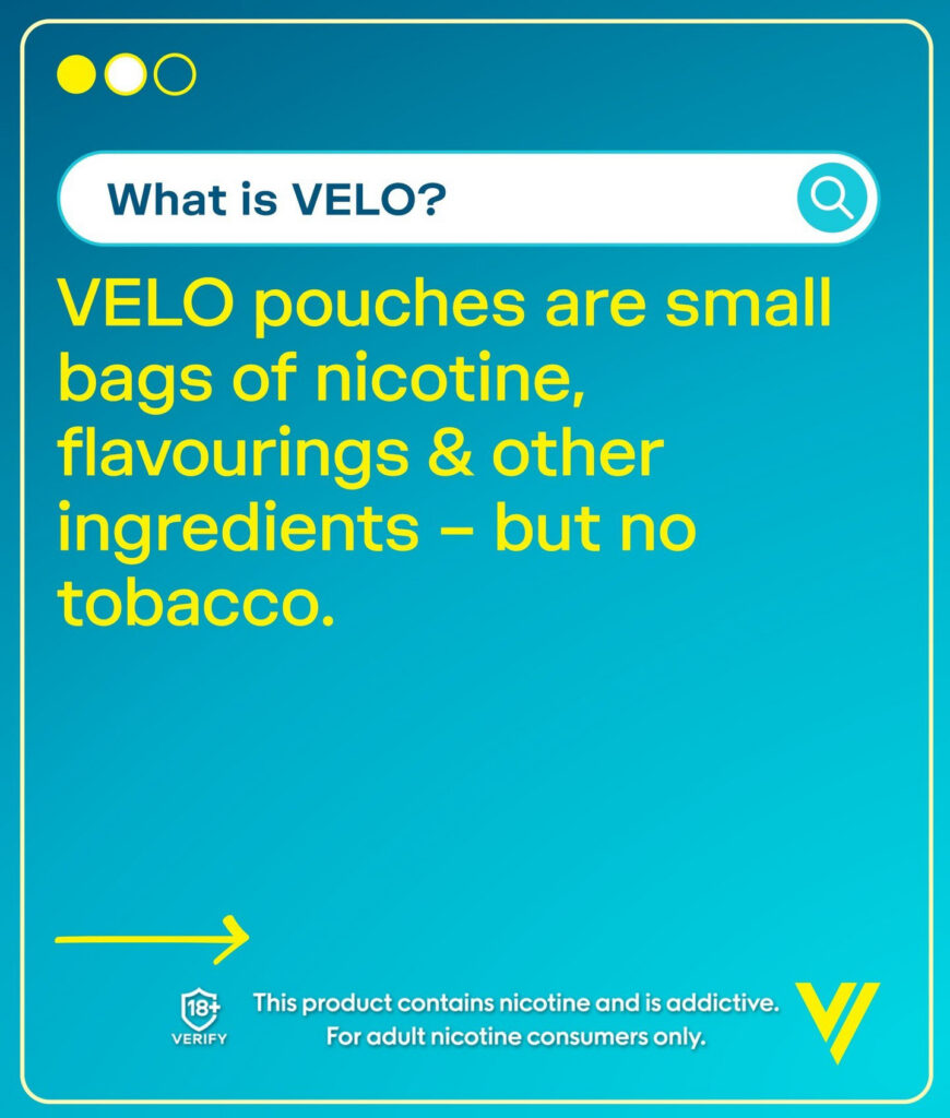 Major/Velo – Velo-prob-2024-804-1005.jpg