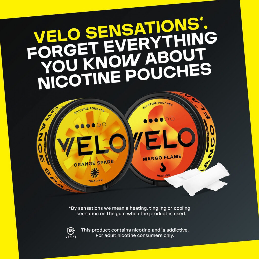Major/Velo – Velo-prob-2024-804-1023.jpg