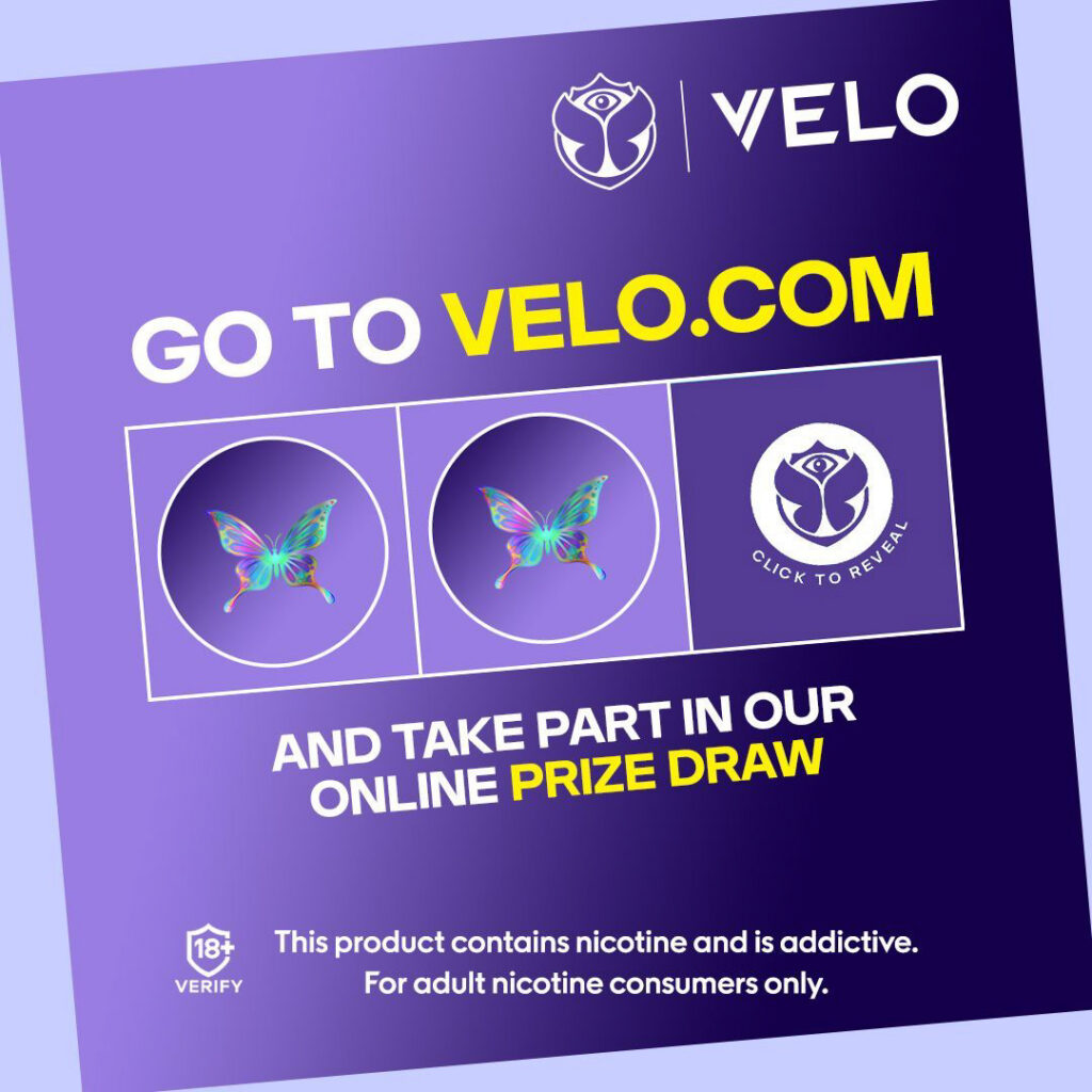 Major/Velo – Velo-prob-2024-804-1024.jpg