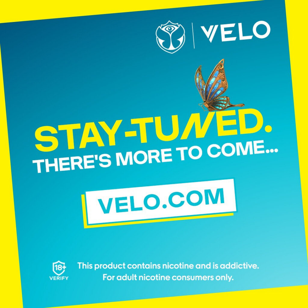Major/Velo – Velo-prob-2024-804-1072.jpg