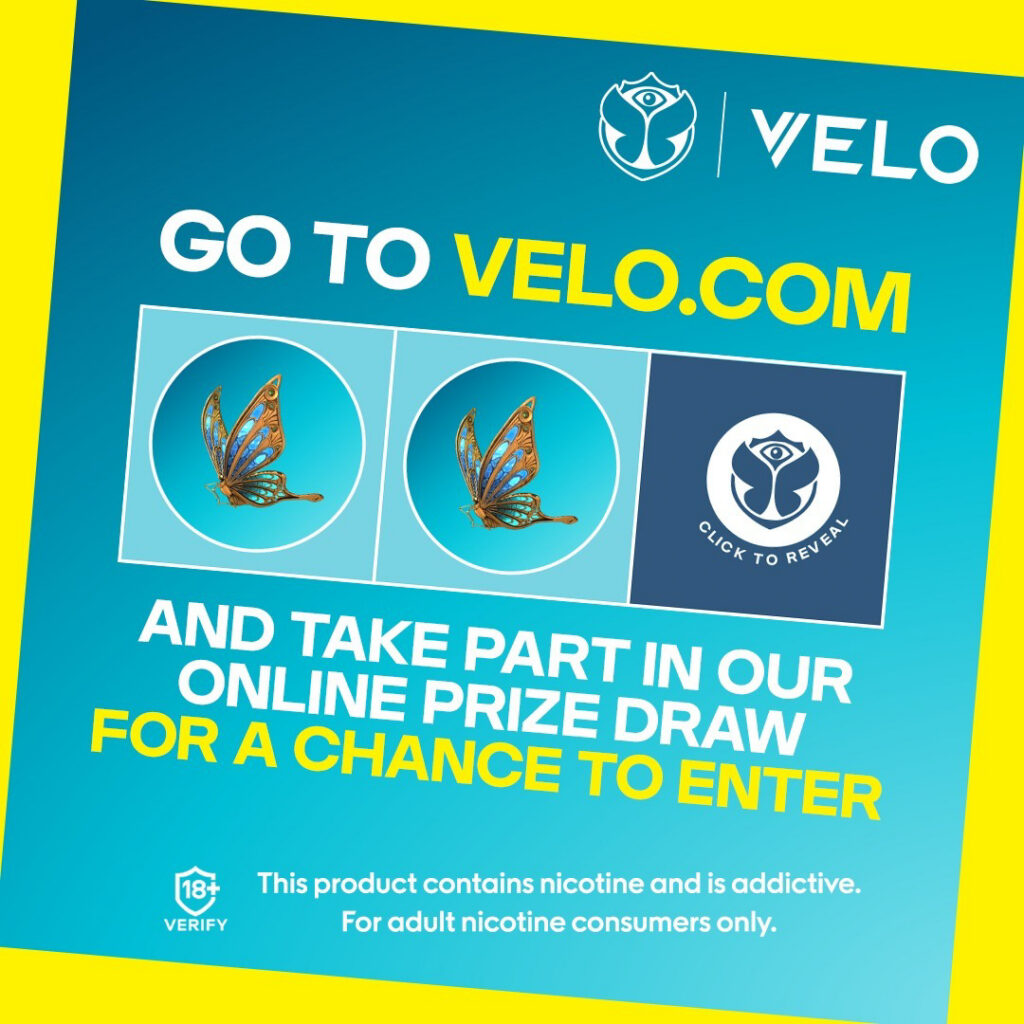 Major/Velo – Velo-prob-2024-804-1073.jpg