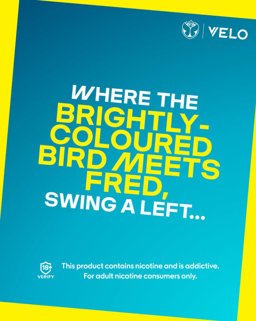 Major/Velo – Velo-prob-2024-804-1075.jpg
