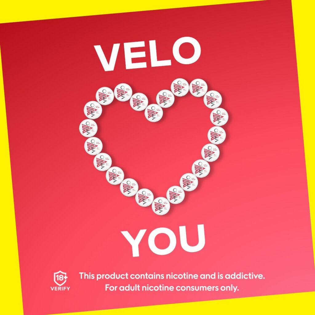 Major/Velo – Velo-prob-2024-804-1087.jpg