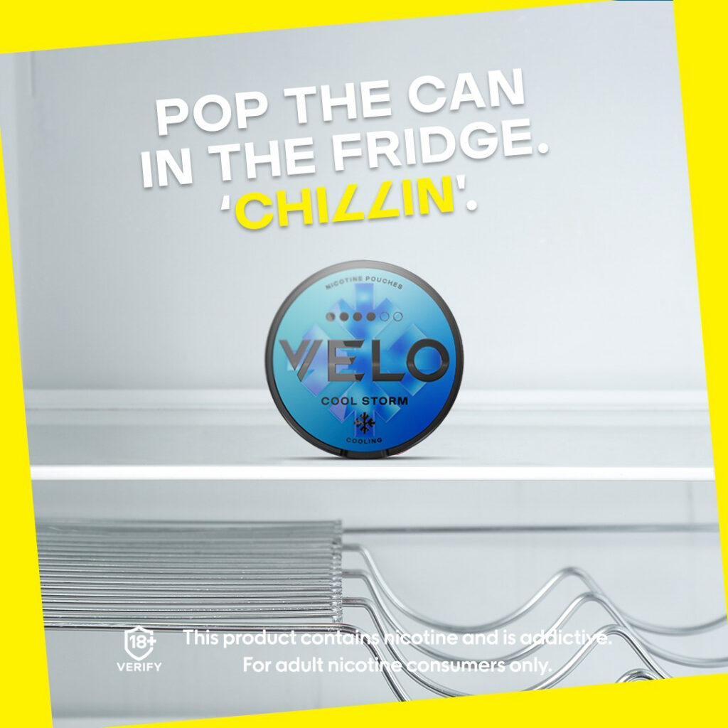 Major/Velo – Velo-prob-2024-804-1096.jpg