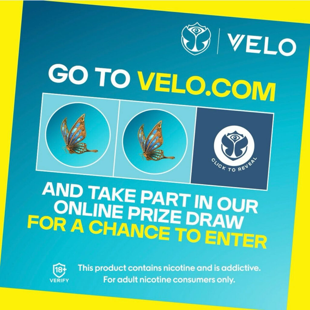 Major/Velo – Velo-prob-2024-804-1107.jpg