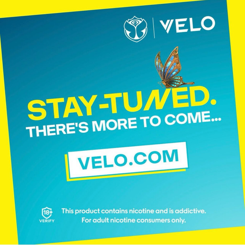 Major/Velo – Velo-prob-2024-804-1109.jpg