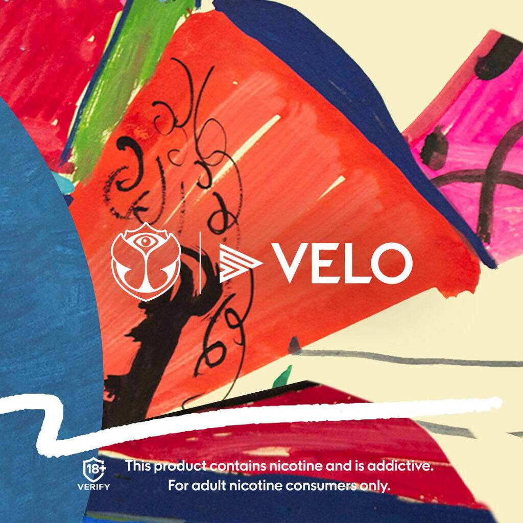 Major/Velo – Velo-prob-2024-804-1130.jpg