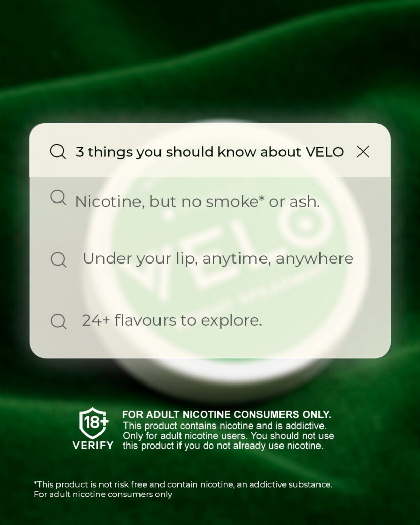 Major/Velo – Velo-prob-2024-804-822.jpg