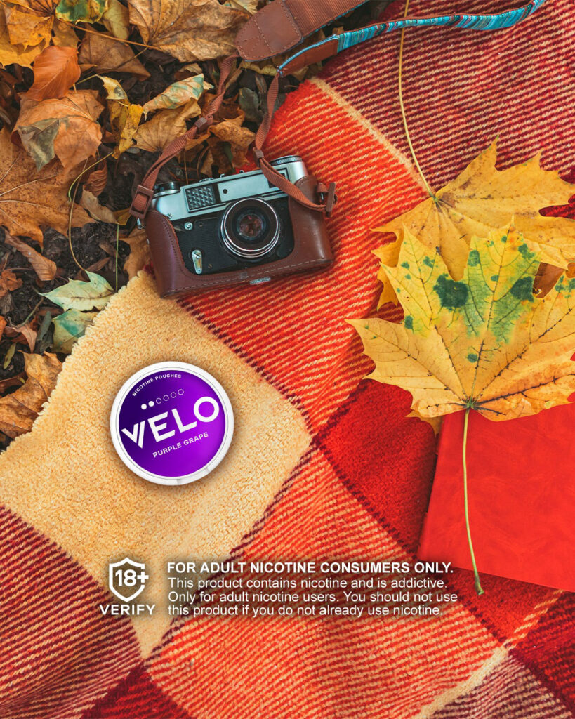 Major/Velo – Velo-prob-2024-804-862.jpg