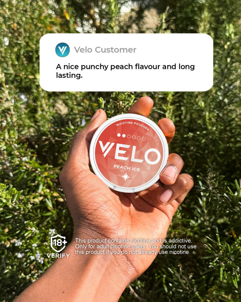 Major/Velo – Velo-prob-2024-804-906.jpg