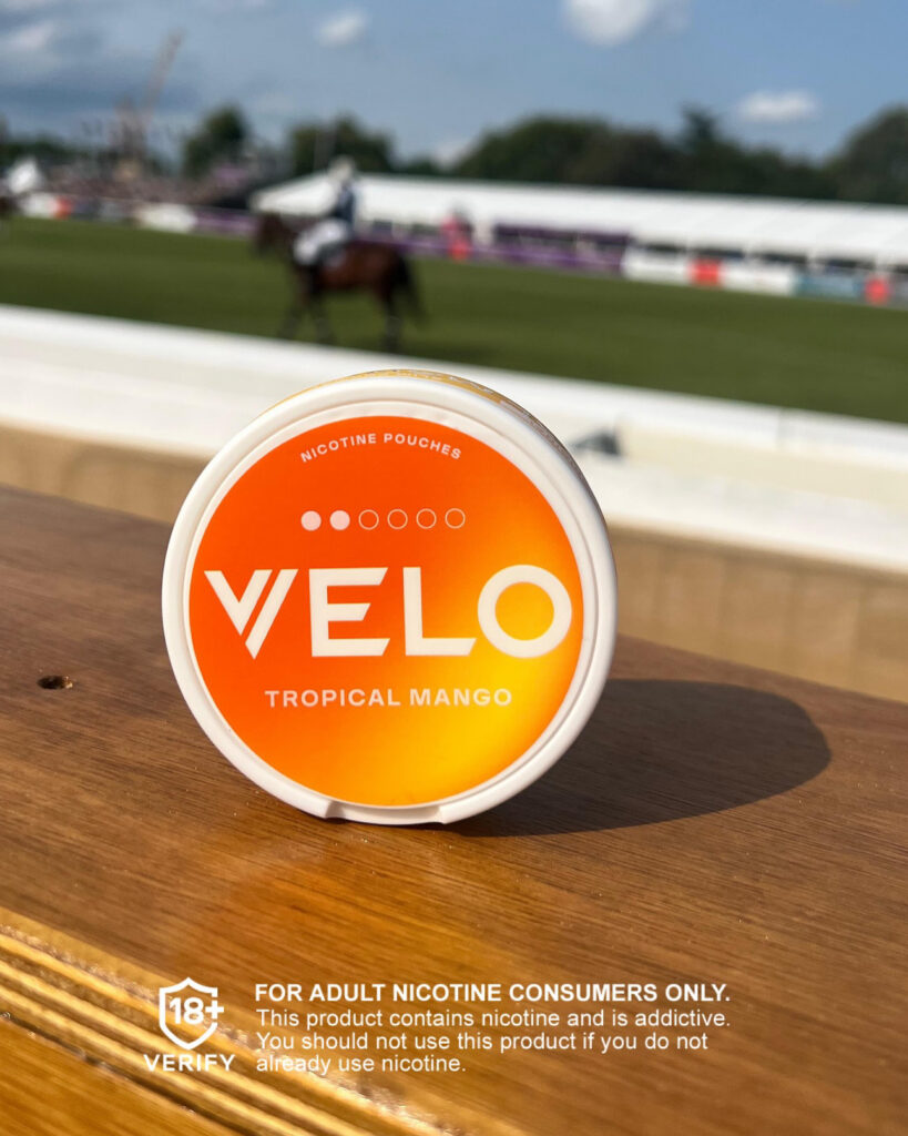 Major/Velo – Velo-prob-2024-804-921.jpg