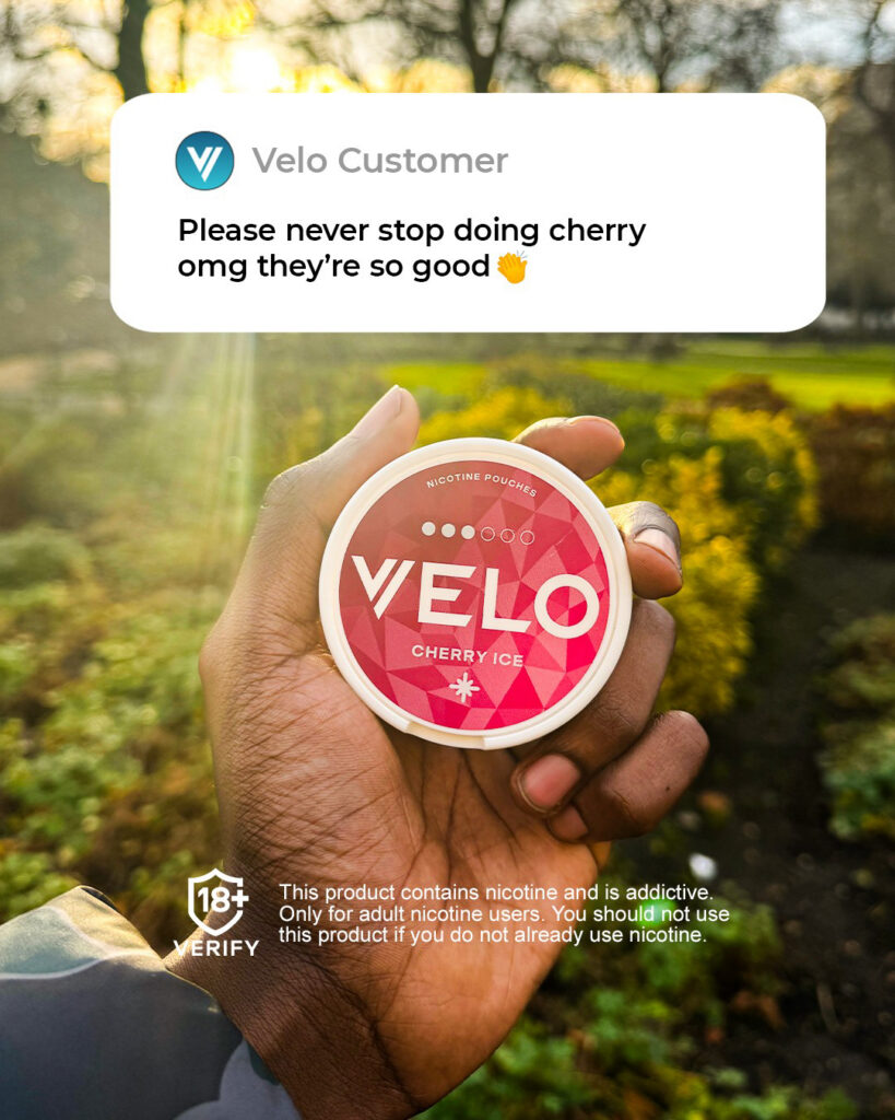 Major/Velo – Velo-prob-2024-804-933.jpg