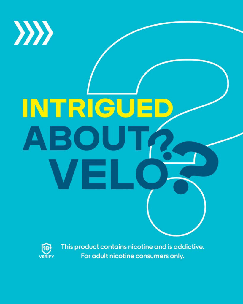 Major/Velo – Velo-prob-2024-804-935.jpg
