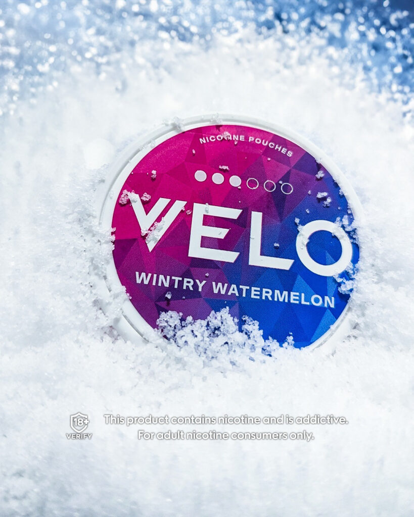 Major/Velo – Velo-prob-2024-804-939.jpg
