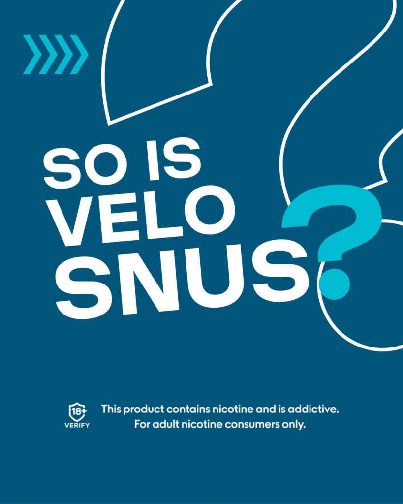 Major/Velo – Velo-prob-2024-804-966.jpg
