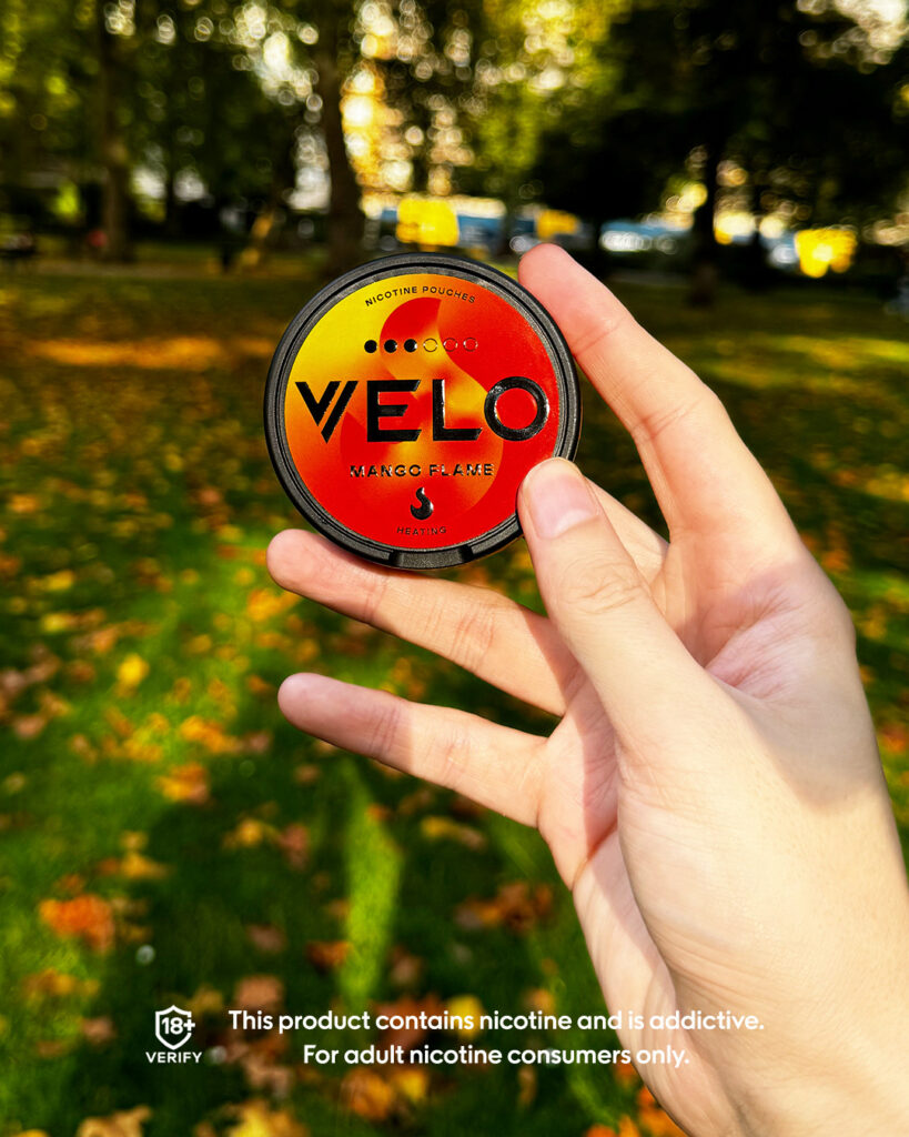Major/Velo – Velo-prob-2024-804-968.jpg