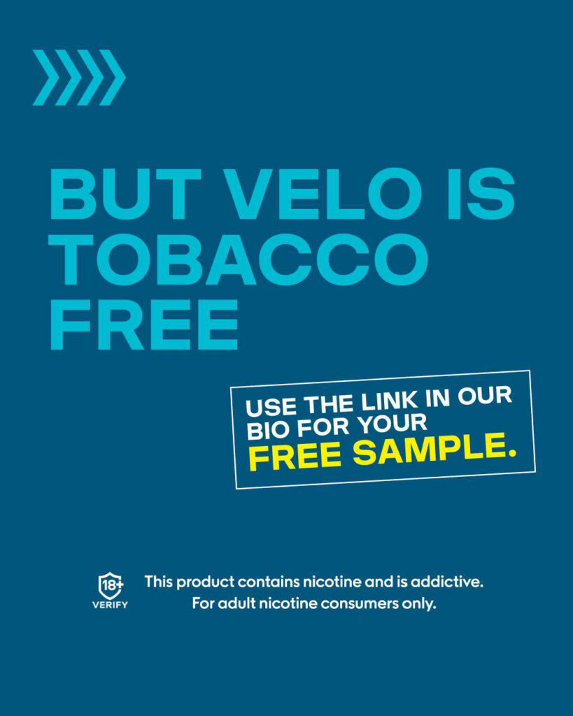 Major/Velo – Velo-prob-2024-804-973.jpg